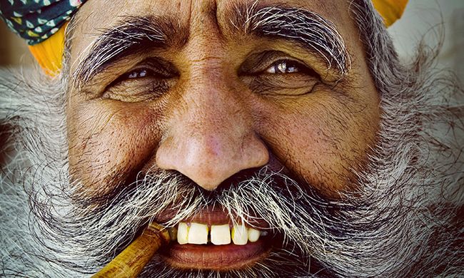 INDISPENSABLE INDE DU SUD pas cher photo 11