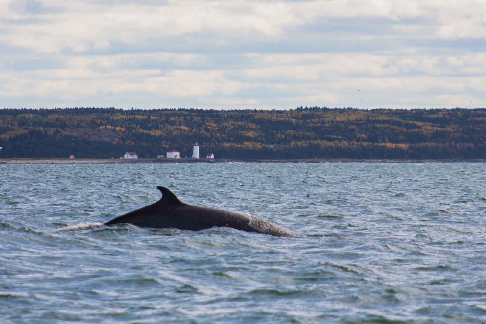 Fenêtres sur l'Est Canadien pas cher photo 10