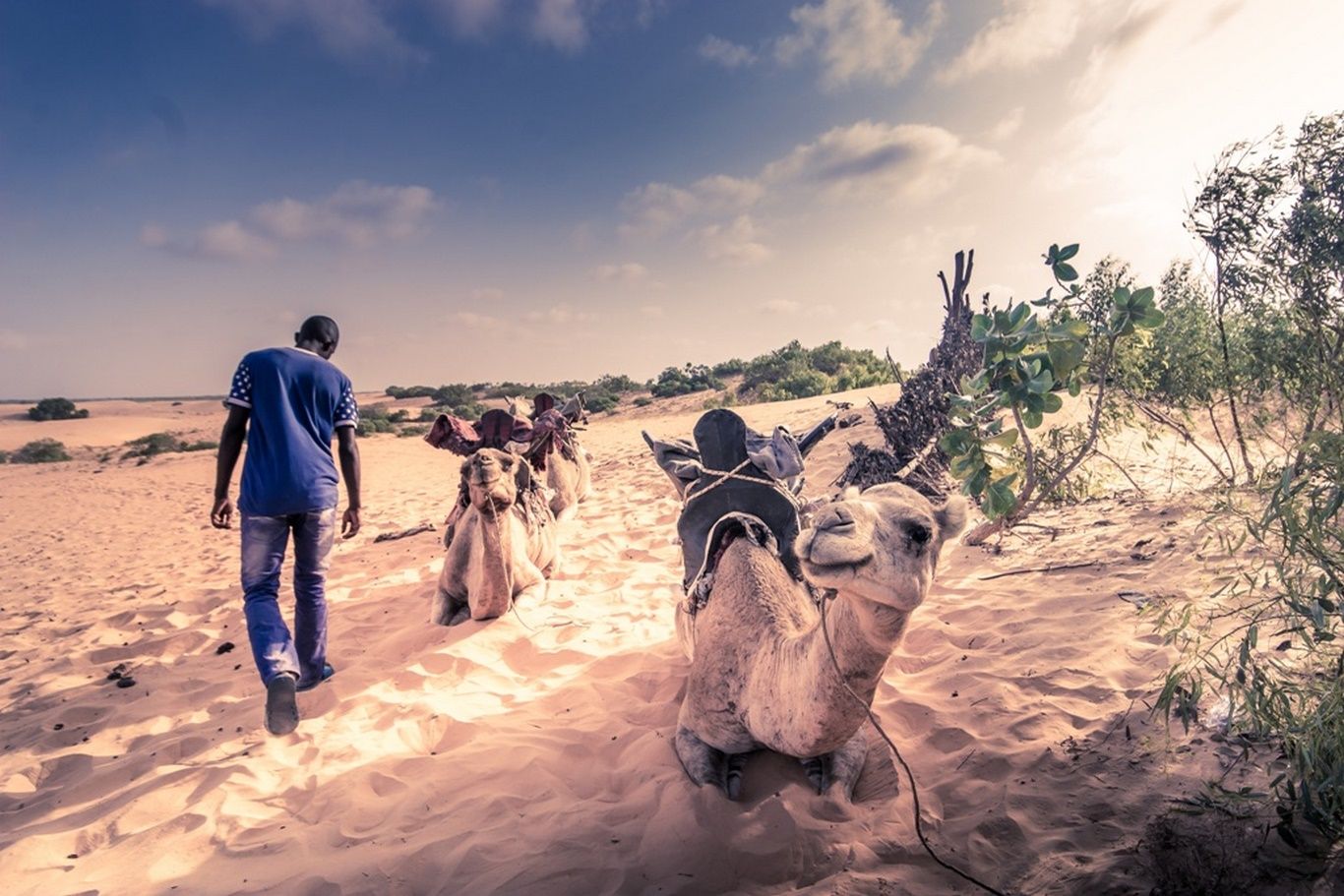 SENEGAL AUTHENTIQUE - 9J/7N - 2019/20 Limité à 18 pers. pas cher photo 7