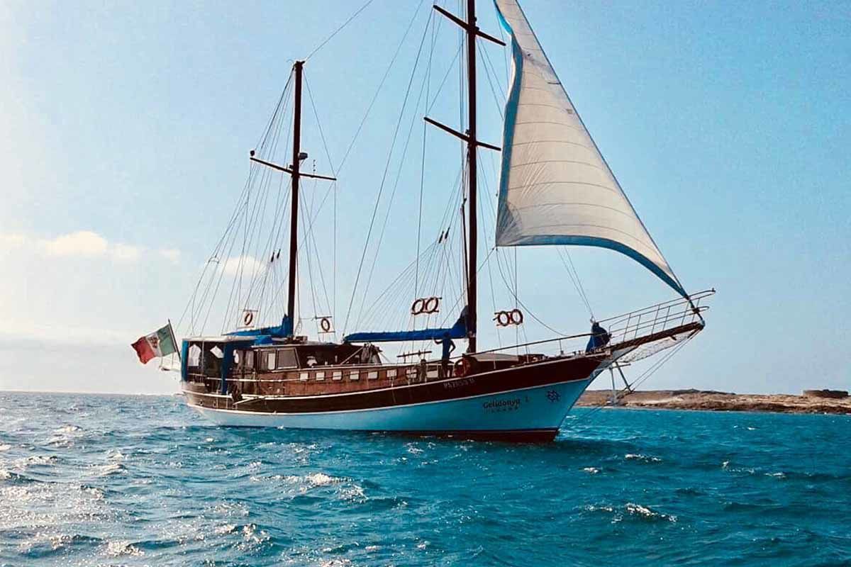 Échappée active depuis le club Héliades Riu Karamboa 5* - arrivée Boa Vista pas cher photo 4