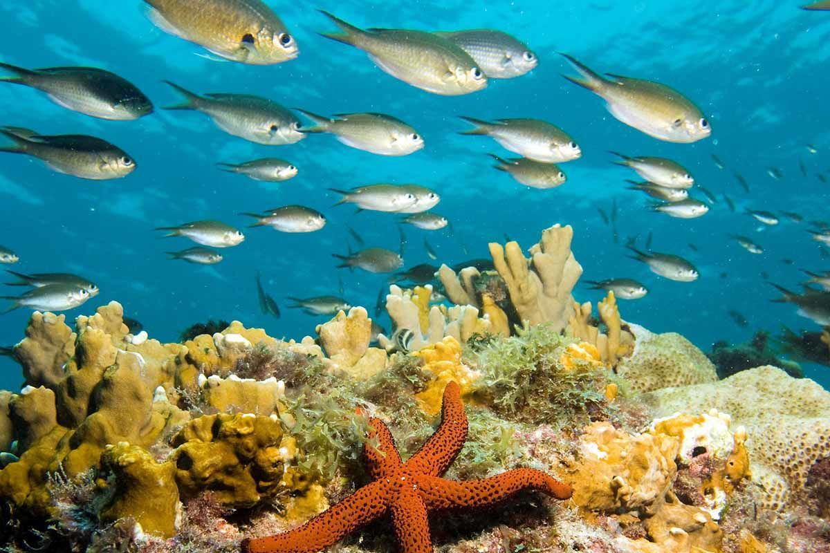 Échappée active depuis le club Héliades Riu Karamboa 5* - arrivée Boa Vista pas cher photo 10