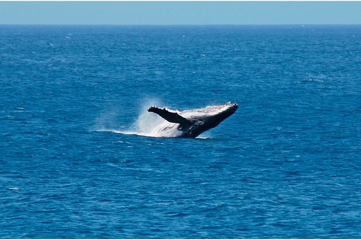 Circuit Echappée capverdienne depuis le Club Héliades Riu Touareg 5* pas cher photo 6