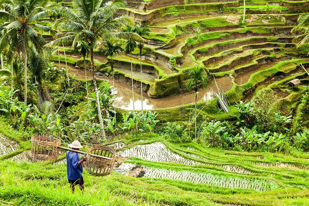 Les Immanquables De Bali 4* pas cher photo 2