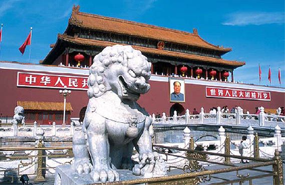 INDISPENSABLE CHINE pas cher photo 8