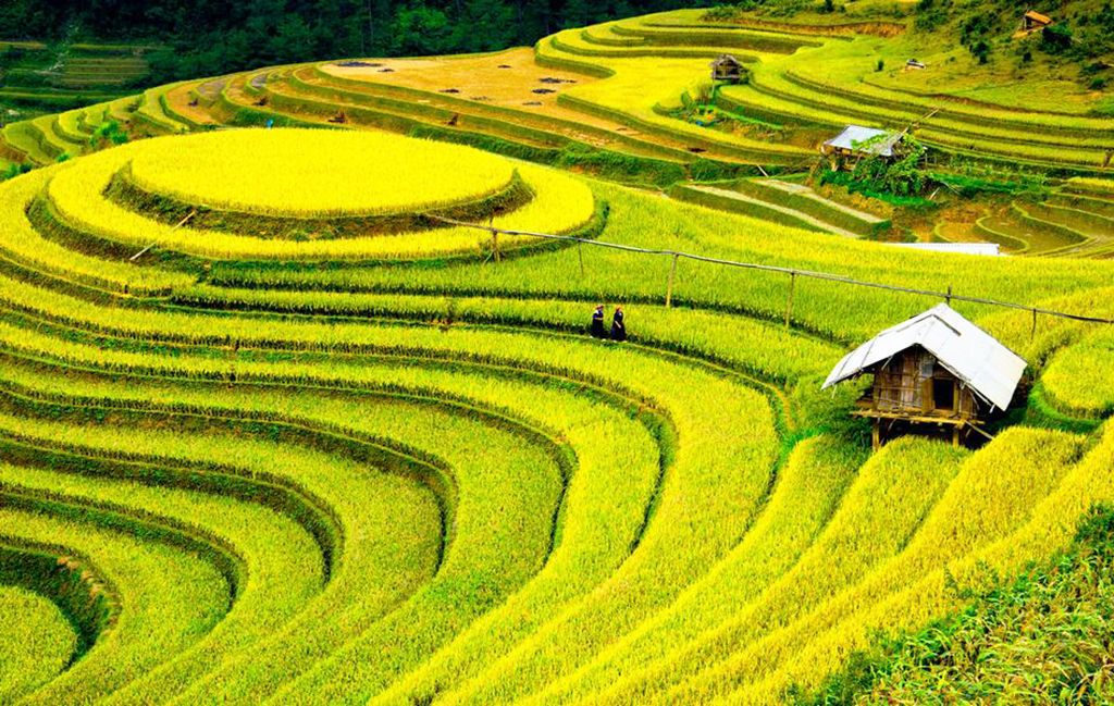 Circuit Beauté du Nord Vietnam 4* pas cher photo 7