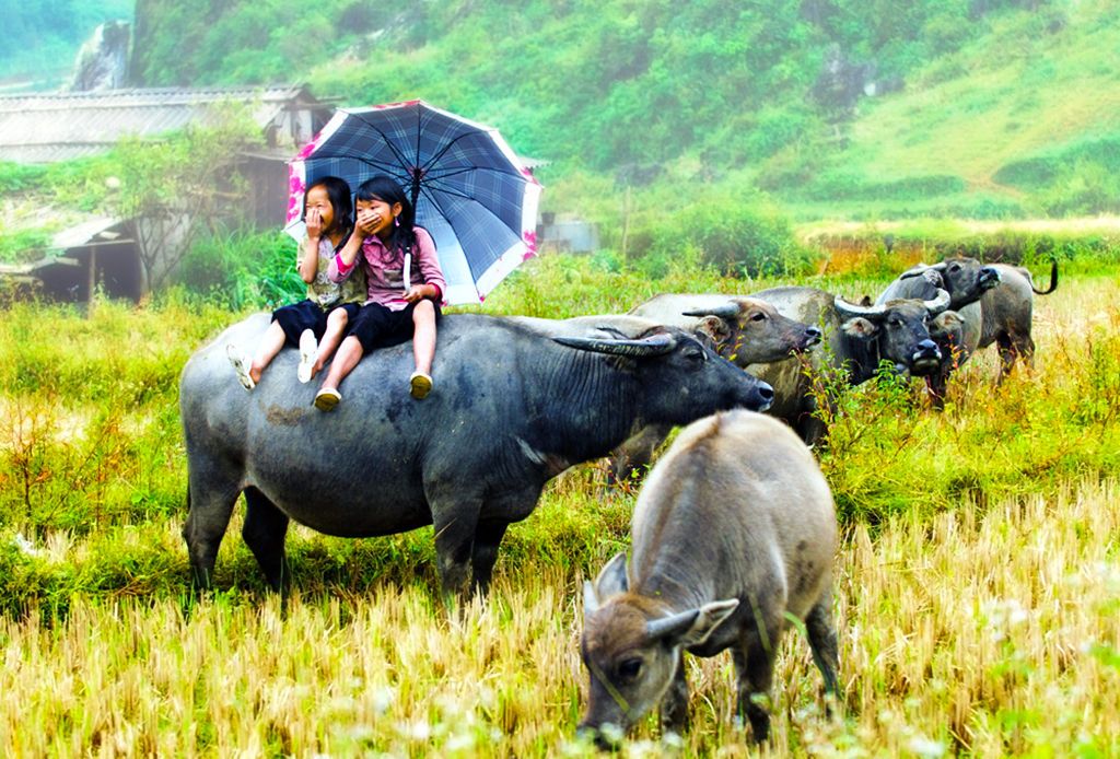 Circuit Beauté du Nord Vietnam 4* pas cher photo 8