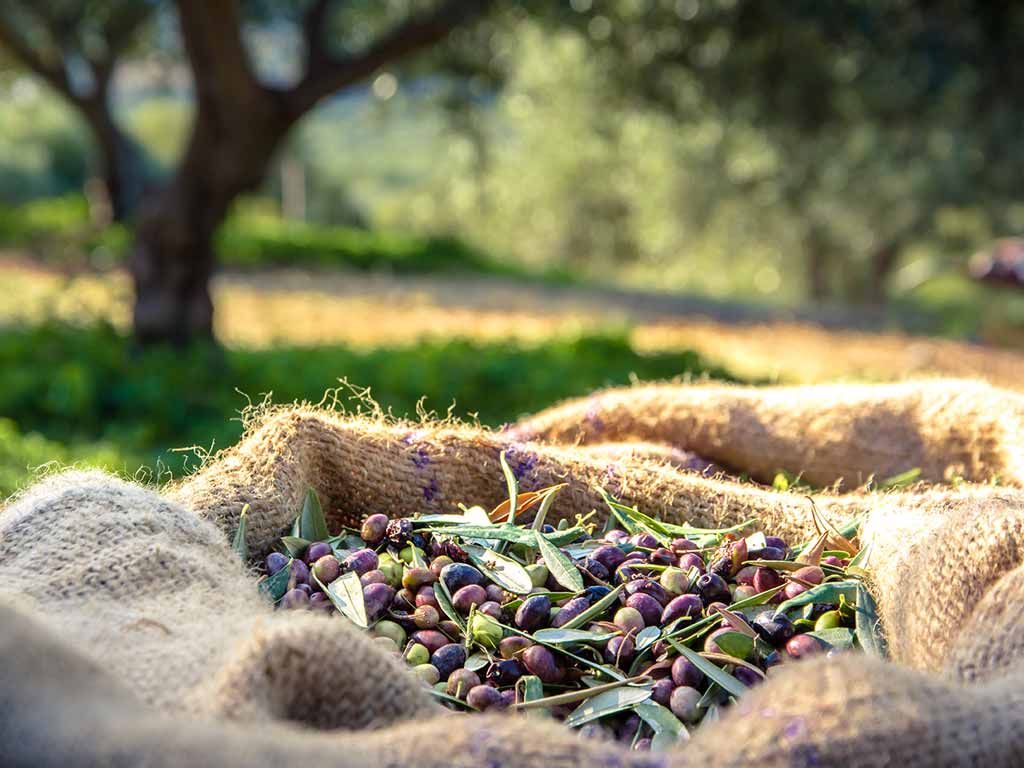 Echappée belle à Malte - Circuit entre solos pas cher photo 8