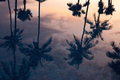 Bali en liberté pas cher photo 1