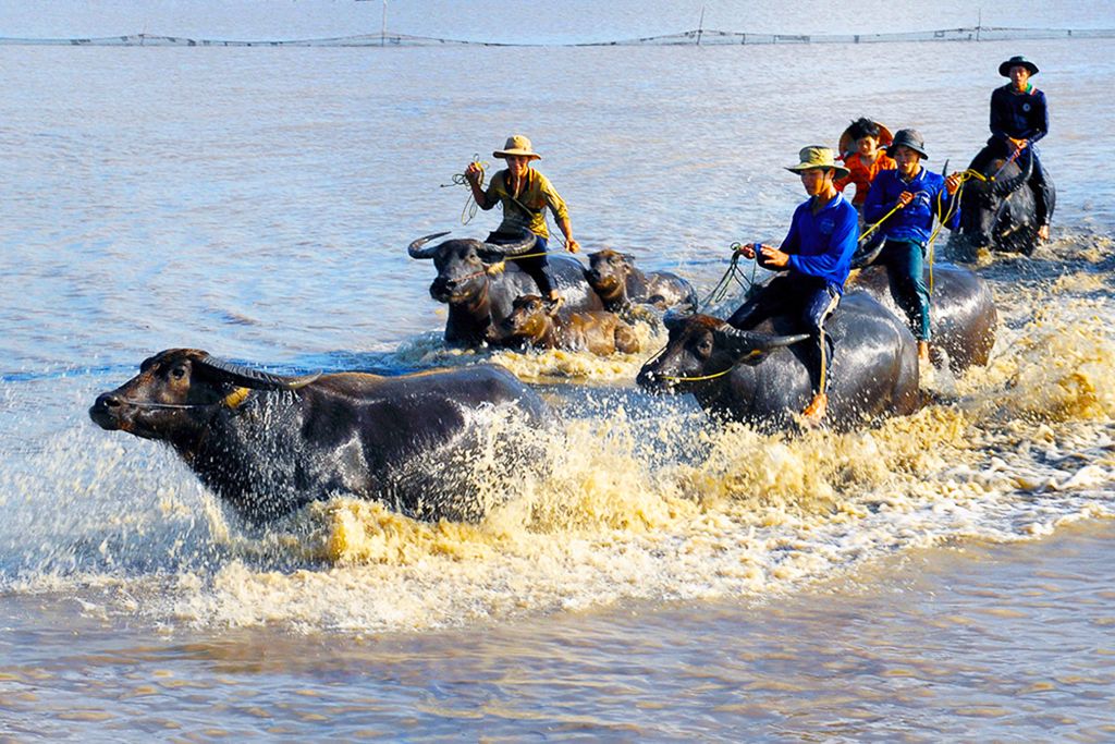 Découverte du Vietnam du Nord au Sud 4/5* pas cher photo 9