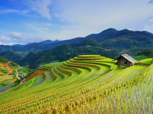 Circuit Vietnam Légendaire 3* pas cher photo 2