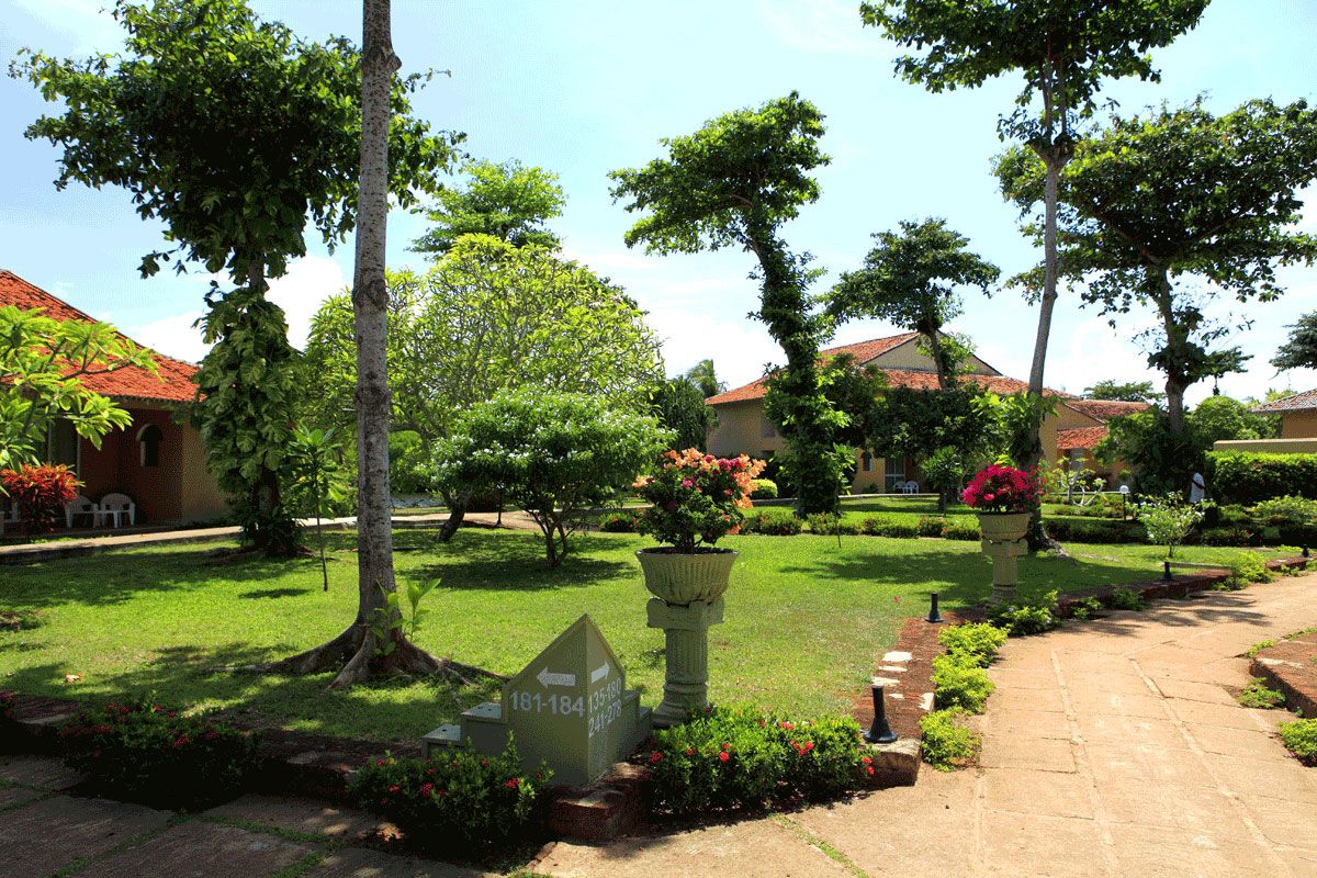 MAGIE DE CEYLAN + 2 NUITS CLUB PALM BAY pas cher photo 6