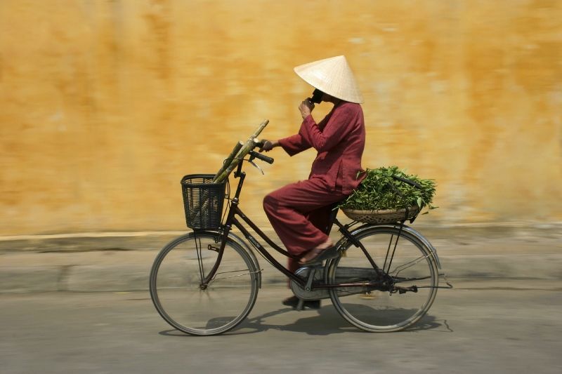 Les Saveurs du Vietnam pas cher photo 3