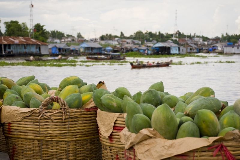 Les Saveurs du Vietnam pas cher photo 11