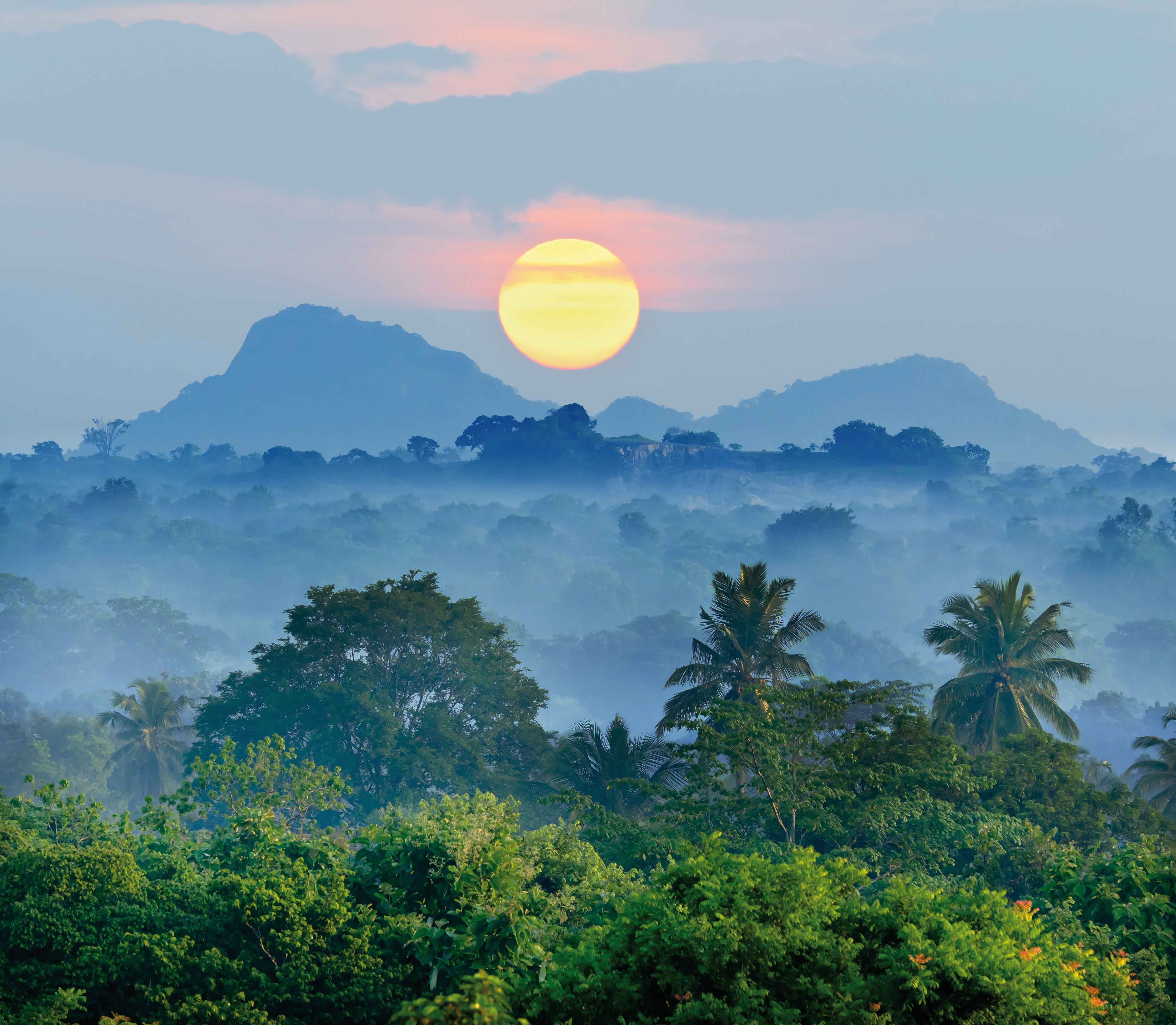 Evasion au Sri Lanka pas cher photo 2