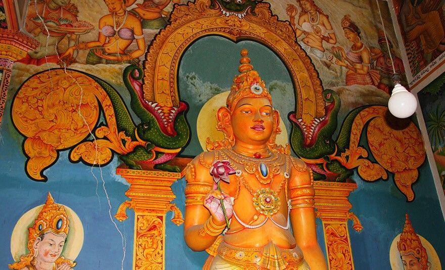 Evasion au Sri Lanka pas cher photo 7