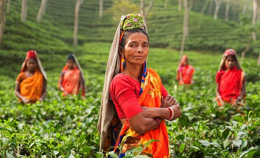 Evasion au Sri Lanka pas cher photo 10