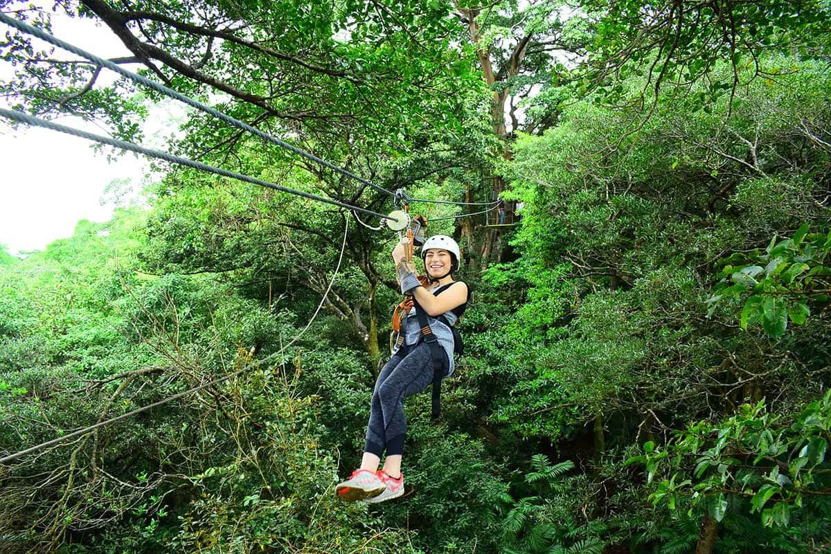 Circuit Paradis vert pas cher photo 3