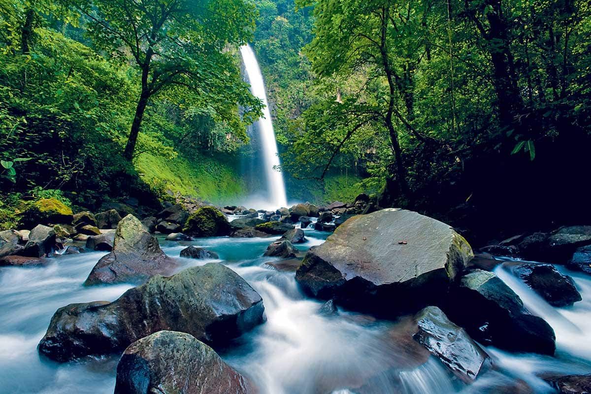 Circuit Paradis vert pas cher photo 5