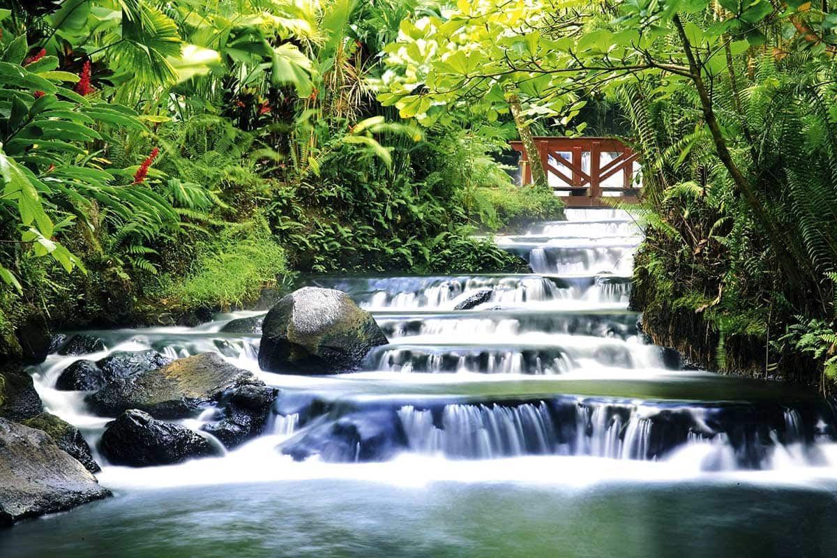 Circuit Paradis vert pas cher photo 6