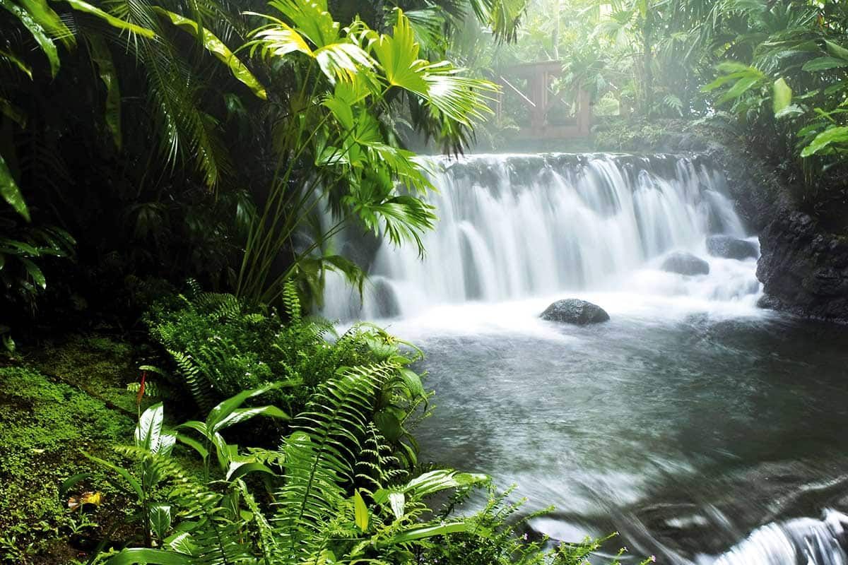 Circuit Paradis vert pas cher photo 7