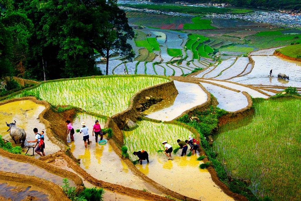 Découverte du Vietnam du Nord au Sud 4/5* pas cher photo 11