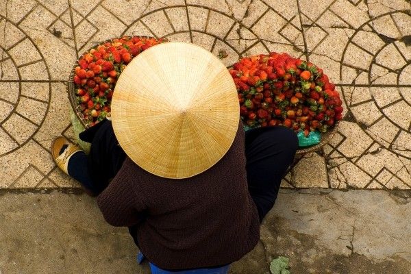 Circuit Vietnam Authentique 3* pas cher photo 4