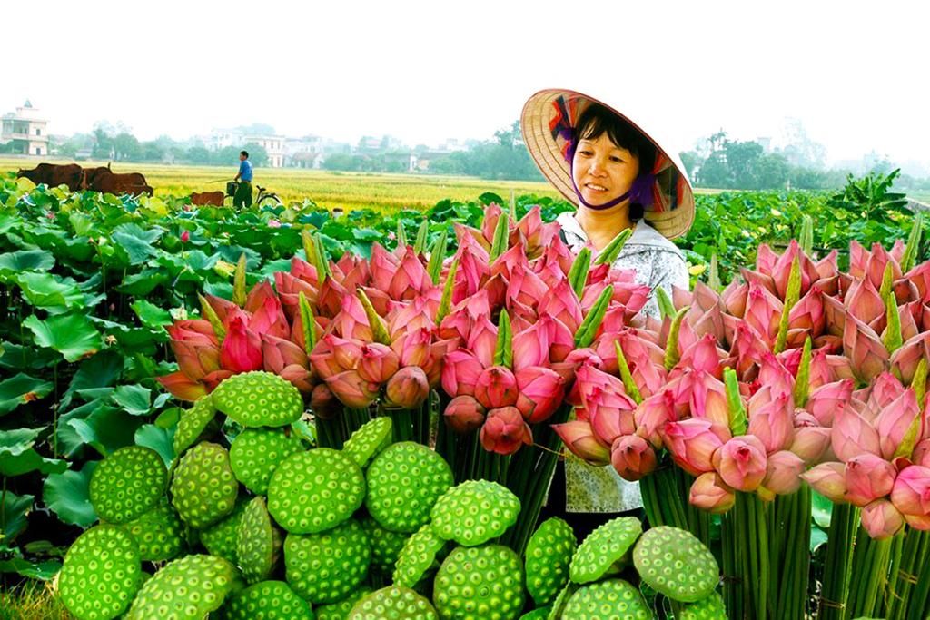 Circuit Héritage du Vietnam 4/5* pas cher photo 2