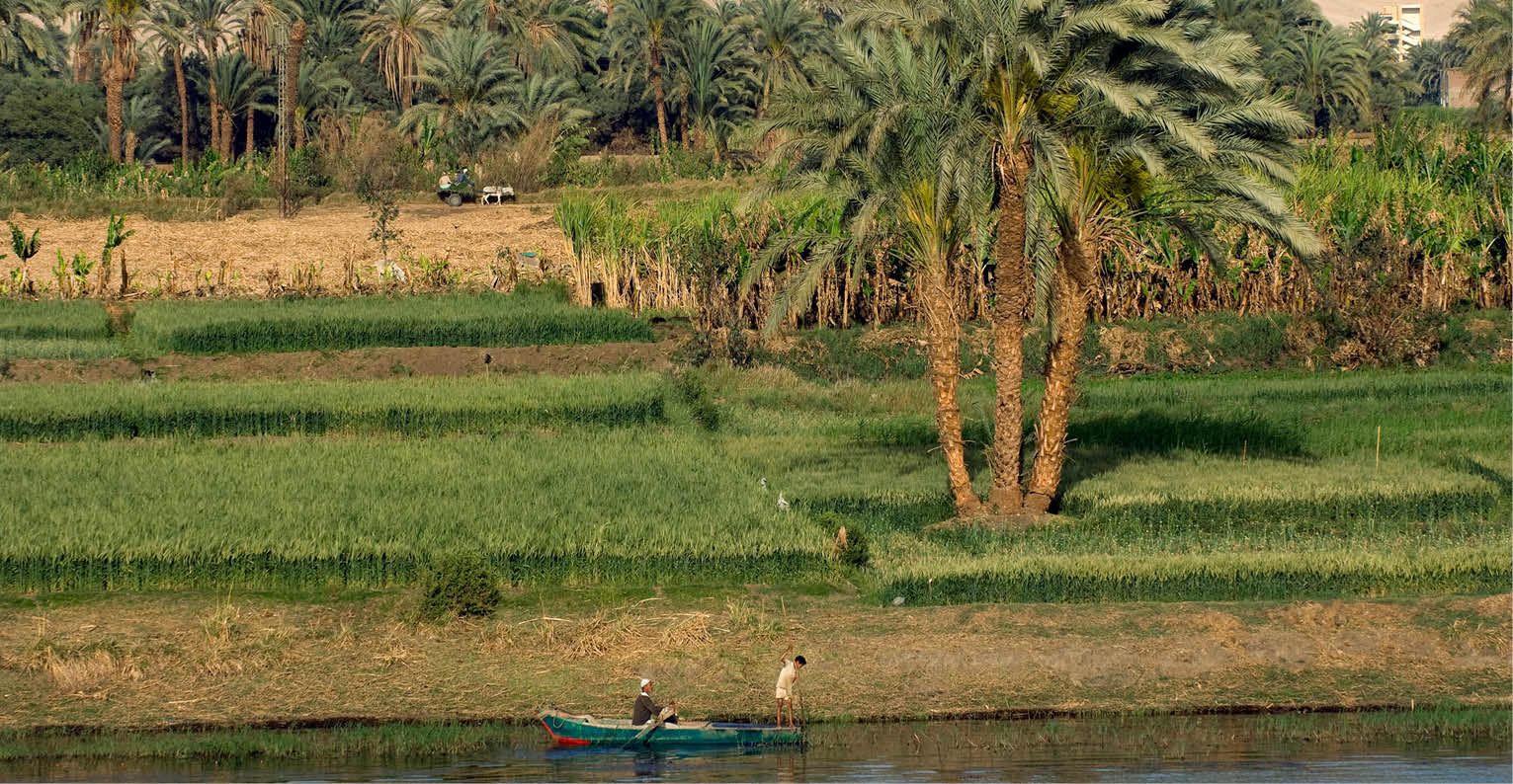 Circuit du Nil à la mer Rouge 5* - Egypte pas cher photo 5