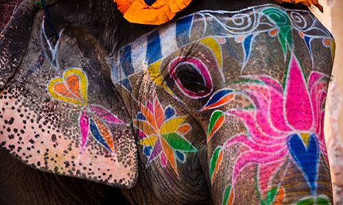 CONFIDENTIEL RAJASTHAN pas cher photo 12