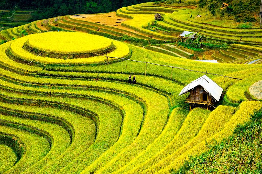 Circuit Héritage du Vietnam 4/5* pas cher photo 11