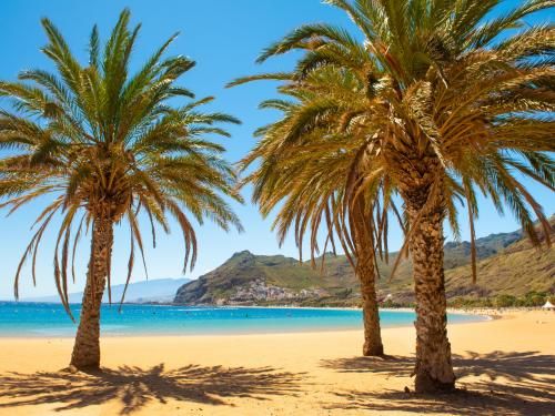 Combiné circuit et hôtel Tour Canario et séjour Gran Hotel Turquesa Playa (été 2019) 4* pas cher photo 7