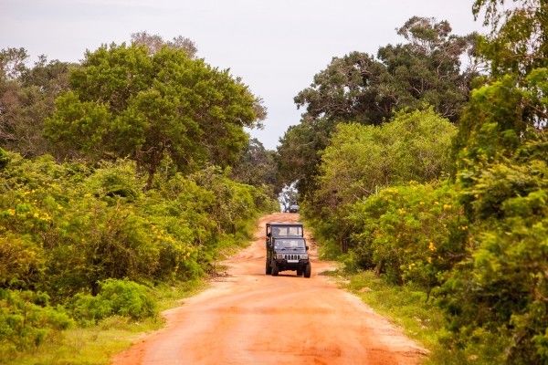 Circuit Grand Tour de Ceylan - Les sites de l'UNESCO pas cher photo 10