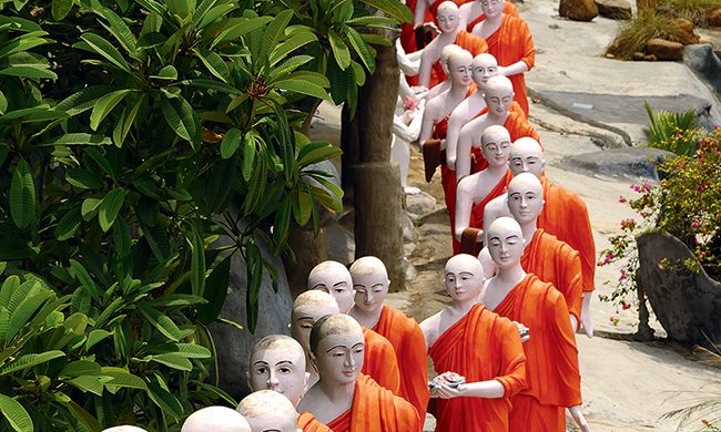 INDISPENSABLE SRI LANKA pas cher photo 1