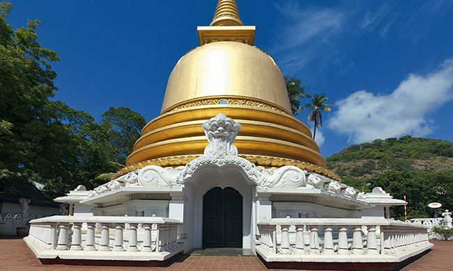 INDISPENSABLE SRI LANKA pas cher photo 2