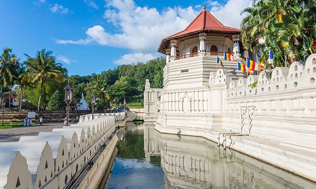 INDISPENSABLE SRI LANKA pas cher photo 7