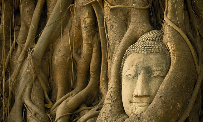 INDISPENSABLE CAMBODGE pas cher photo 9