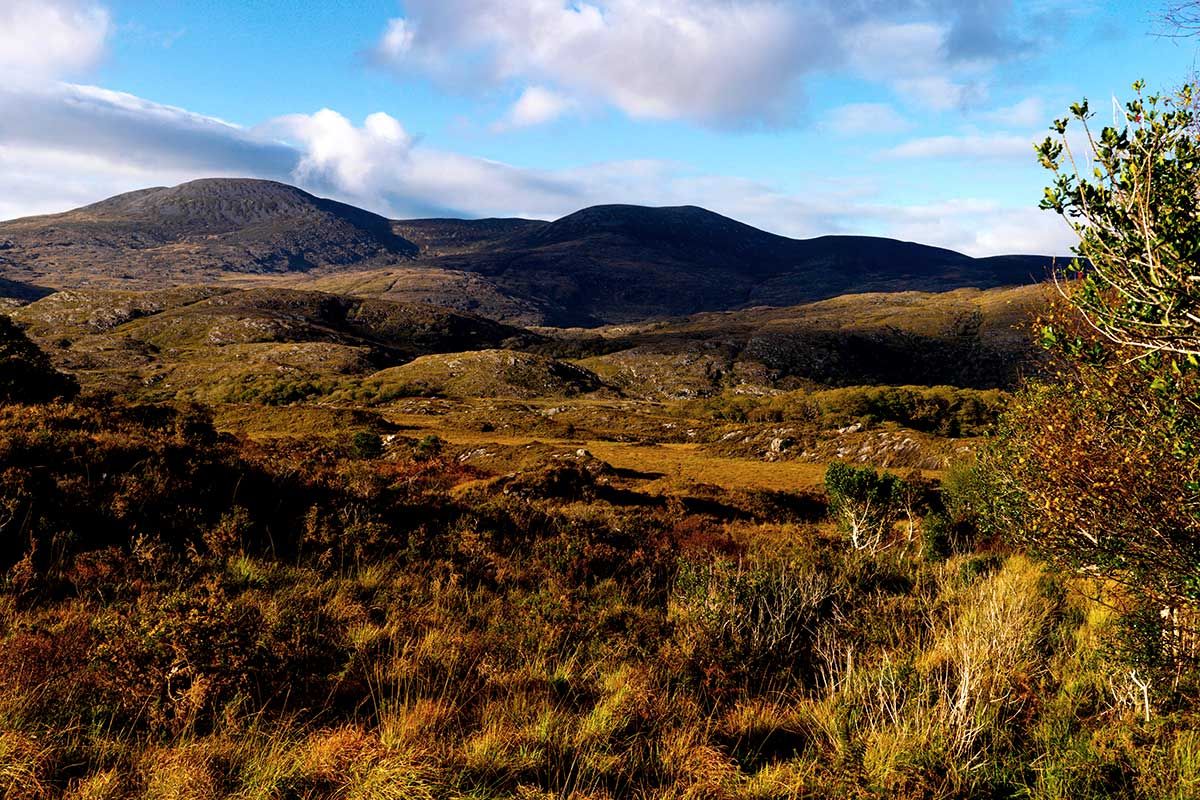 Circuit Conquête de l'Ouest pas cher photo 4