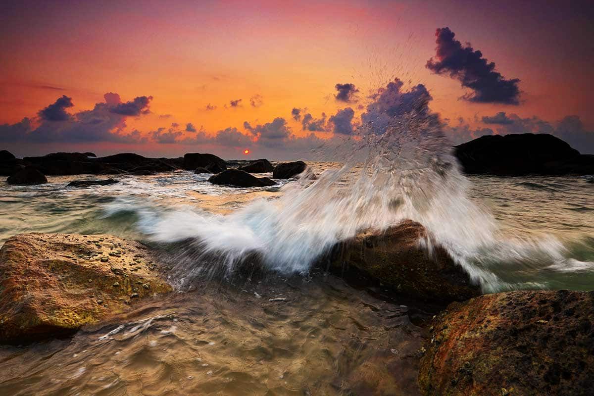 Circuit Parfums de Ceylan pas cher photo 2