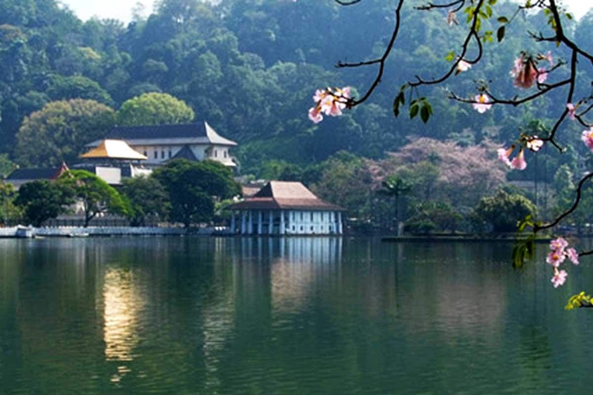 Circuit Parfums de Ceylan pas cher photo 7