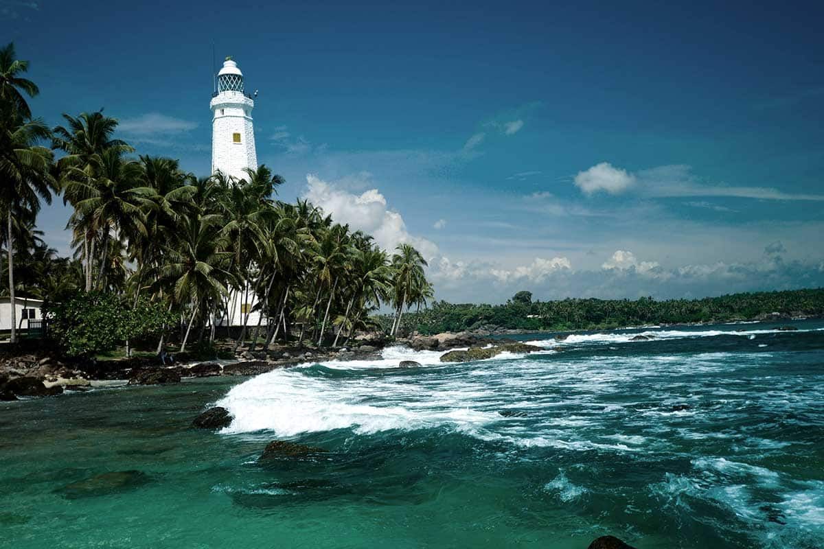 Circuit Parfums de Ceylan pas cher photo 12