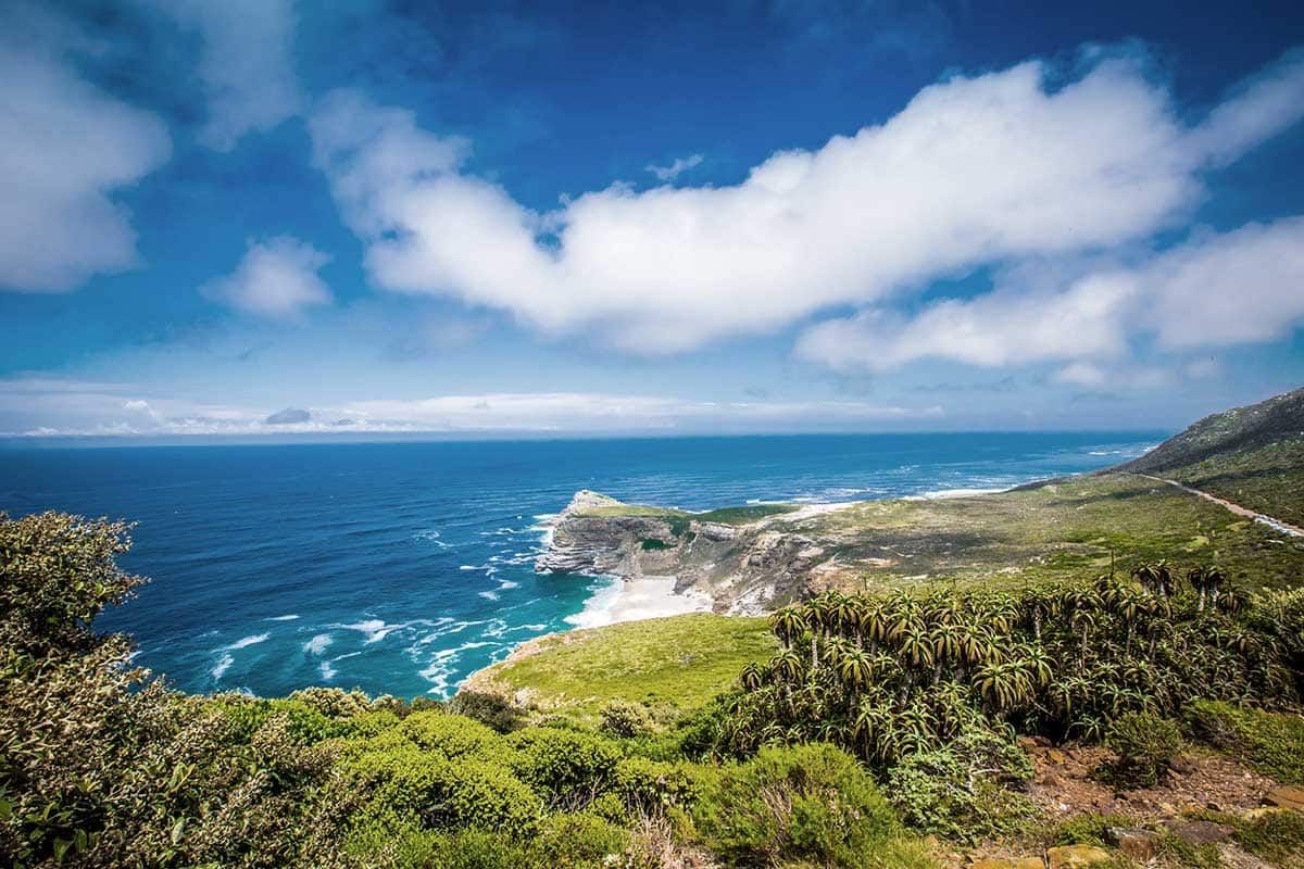Sensationnelle Découverte Sud Africaine pas cher photo 4
