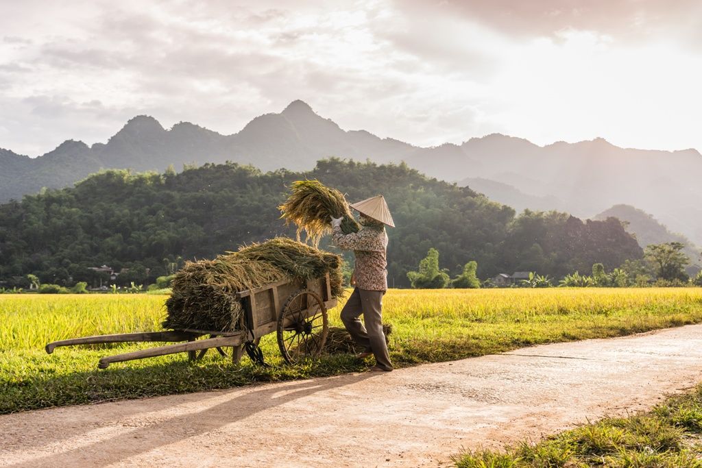 SOUVENIRS DU TONKIN - 13J/10N - Limité à 12 pers. 2020 pas cher photo 1