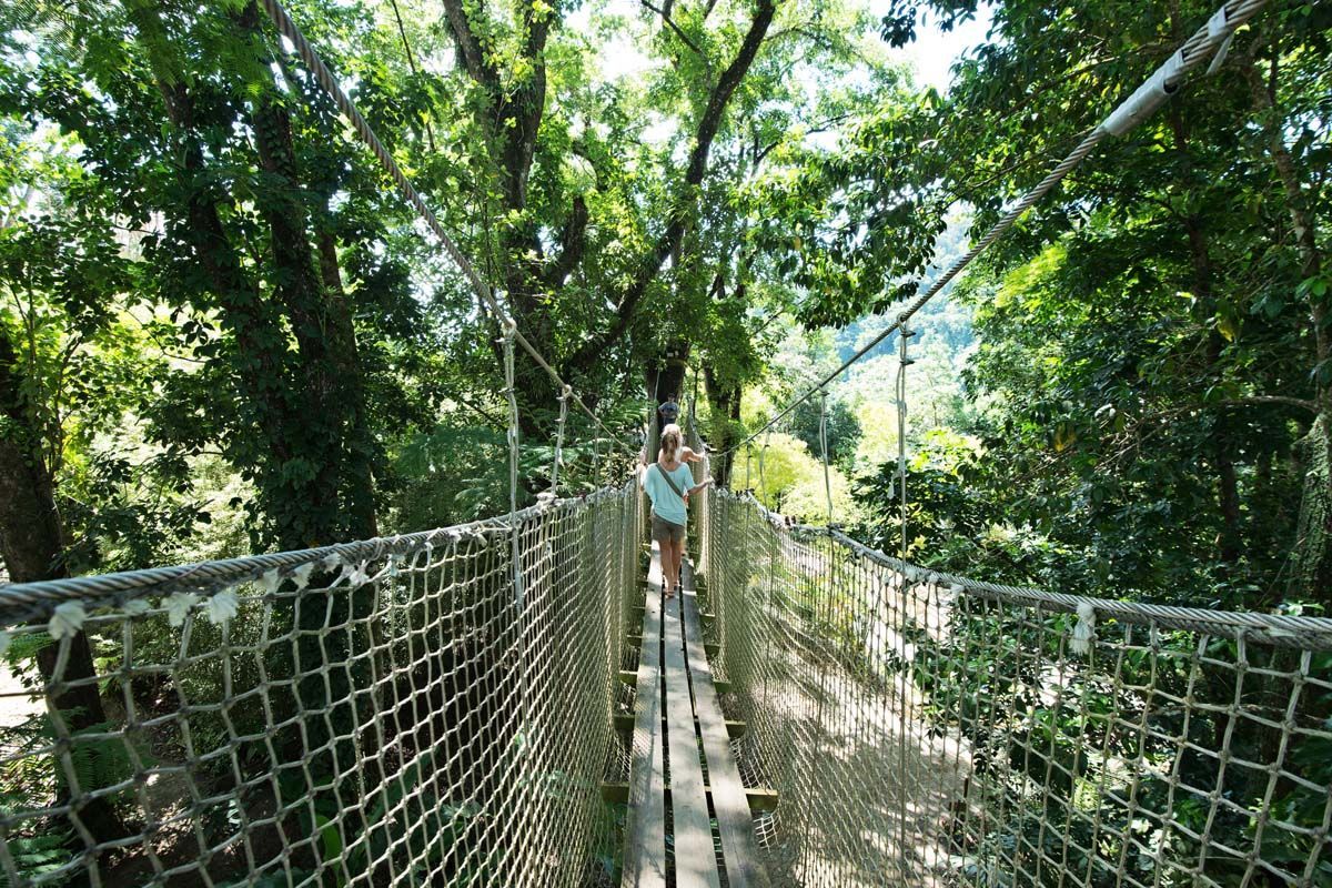 Echappée Martiniquaise depuis le Karibea Sainte Luce Hôtel 3* pas cher photo 4