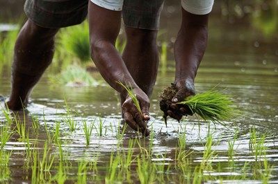 Merveilles de Bali 3*, élu meilleur circuit ! pas cher photo 7