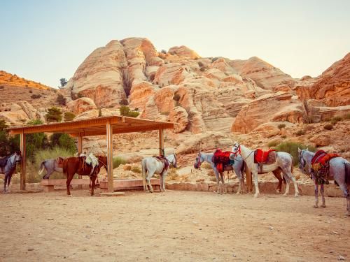 Circuit Couleurs d'Orient (H19/20) 4* pas cher photo 2