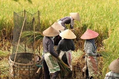 Charmes de Bali, en hôtels 4* pas cher photo 10