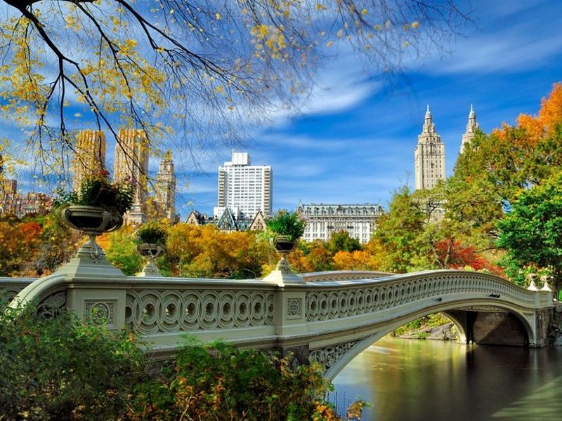 Les Trésors de New York pas cher photo 12