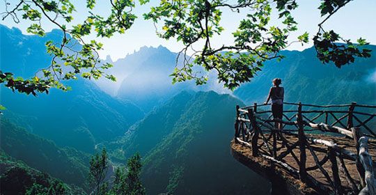 Parfums de Madère 4* pas cher photo 1