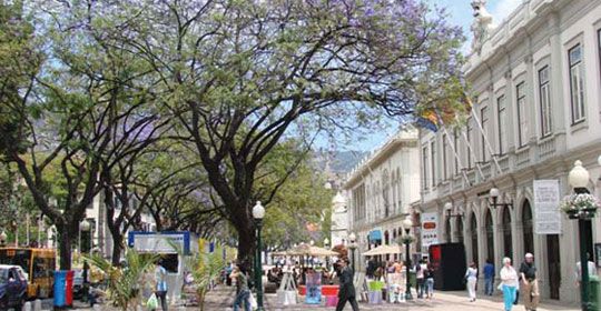 Parfums de Madère 4* pas cher photo 4