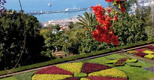 Parfums de Madère 4* pas cher photo 6